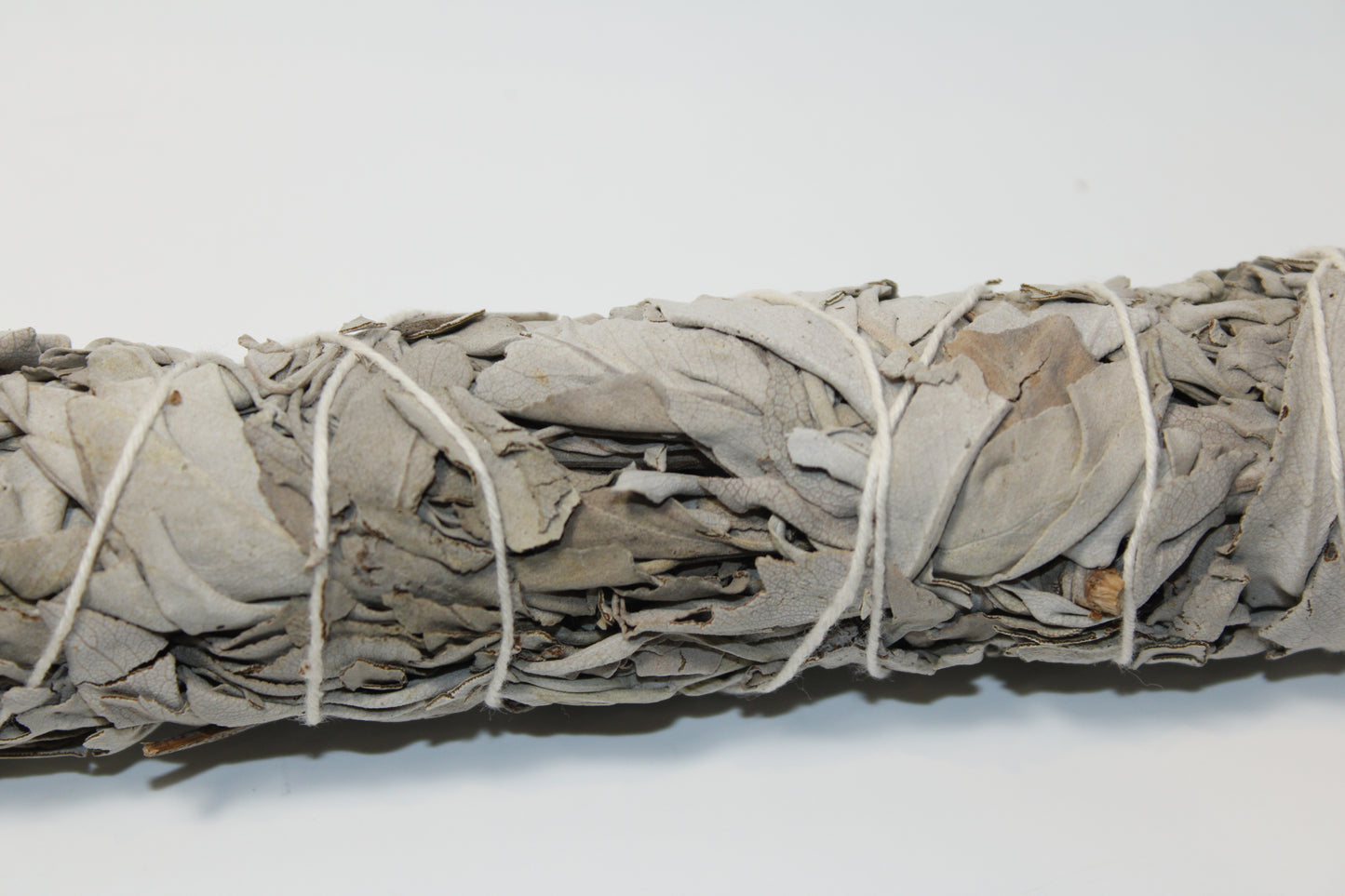 White Sage