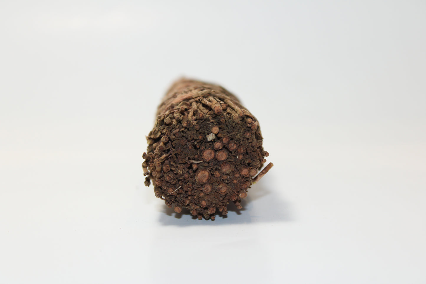 Sandalwood Sage