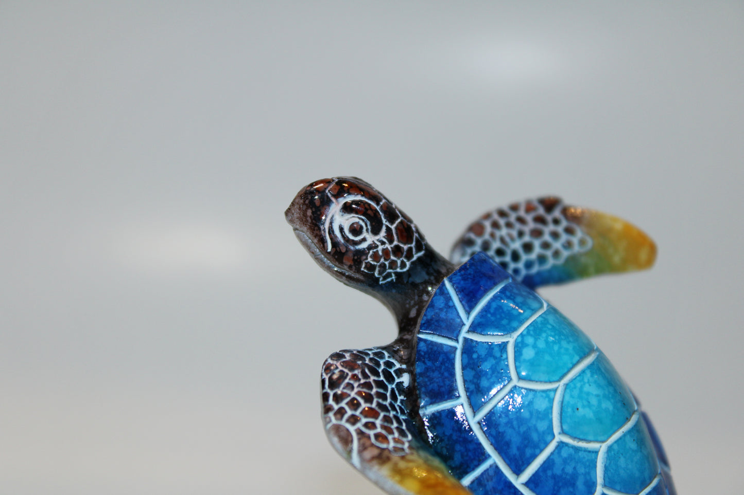 Turquoise Turtle