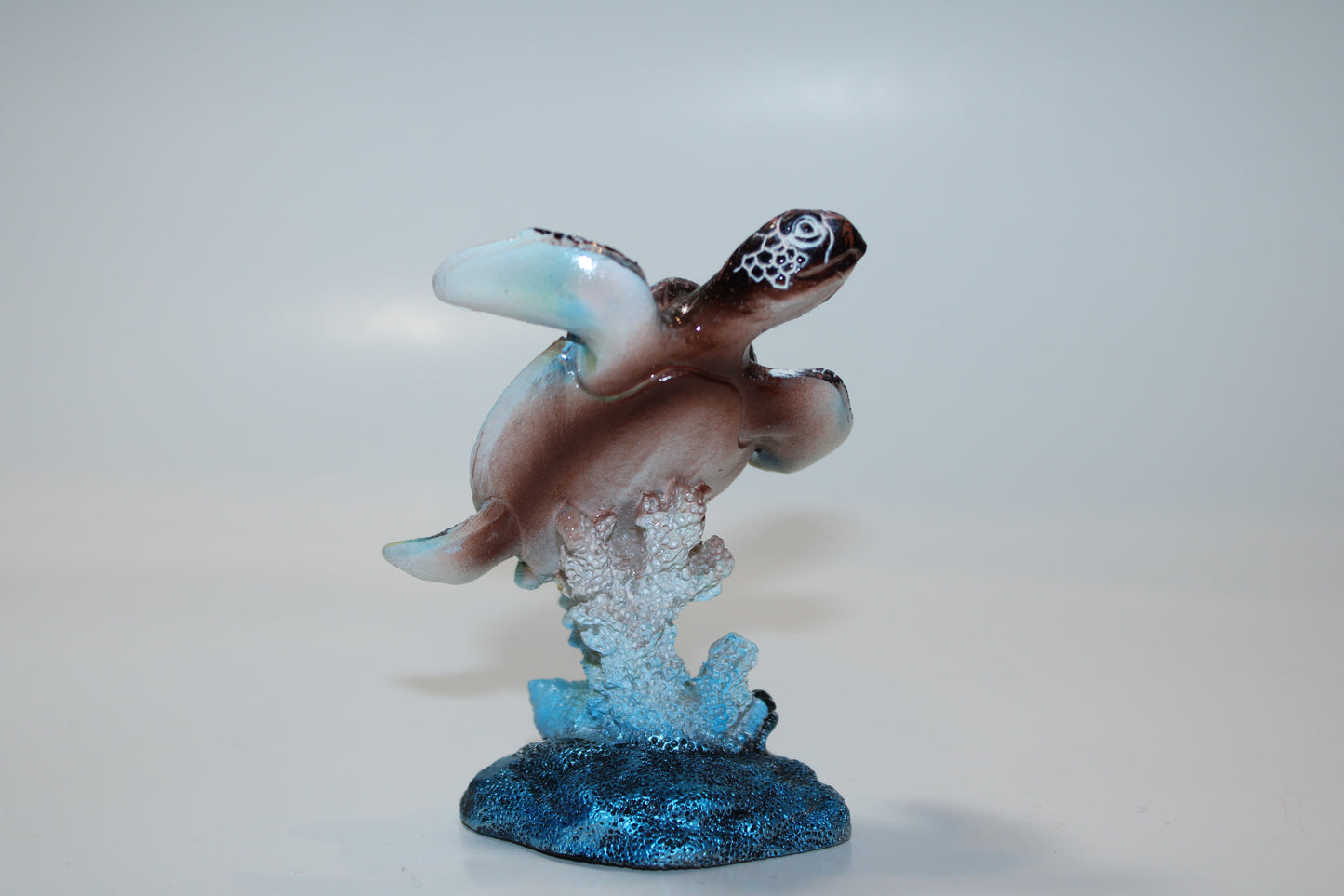 Turquoise Turtle