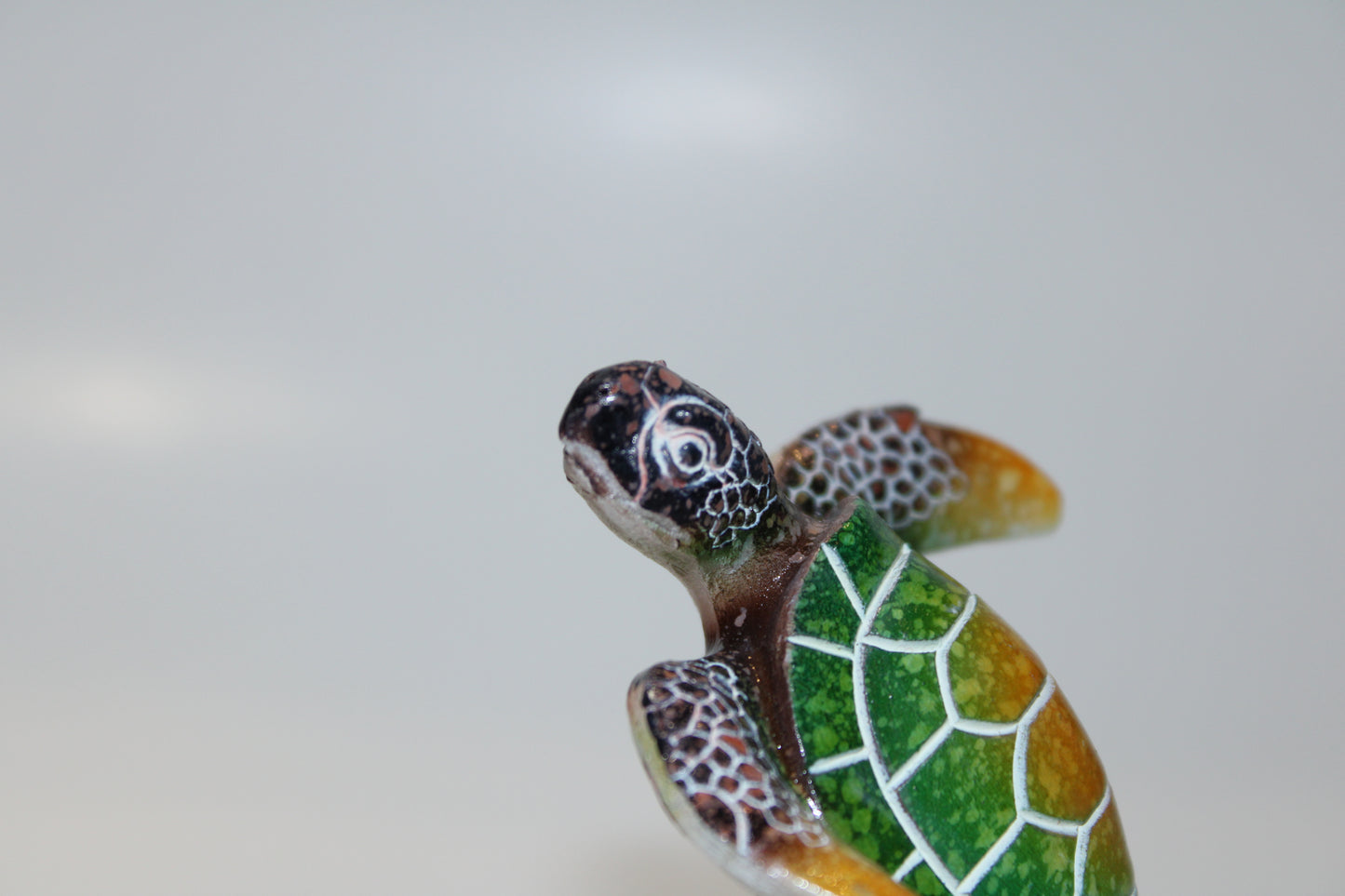 Green Turtle