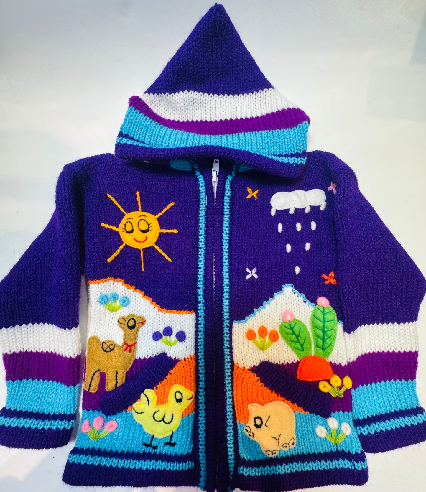 Children's sweater with a landscape design